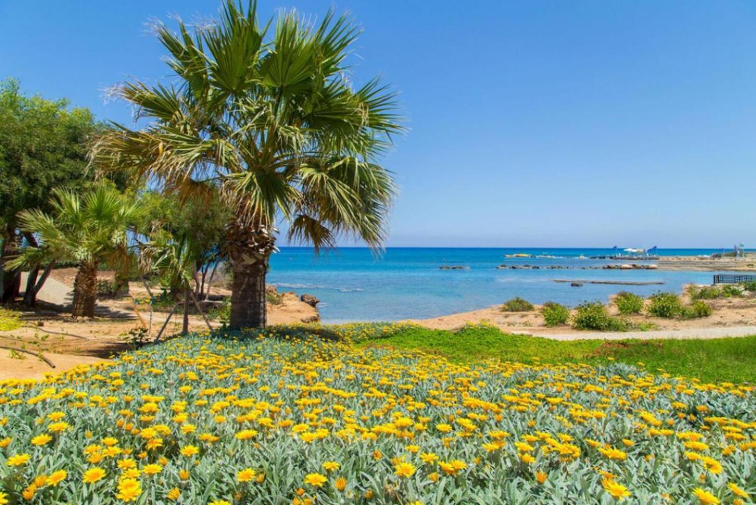 Villa Constantinos Kato Yialia Esterno foto